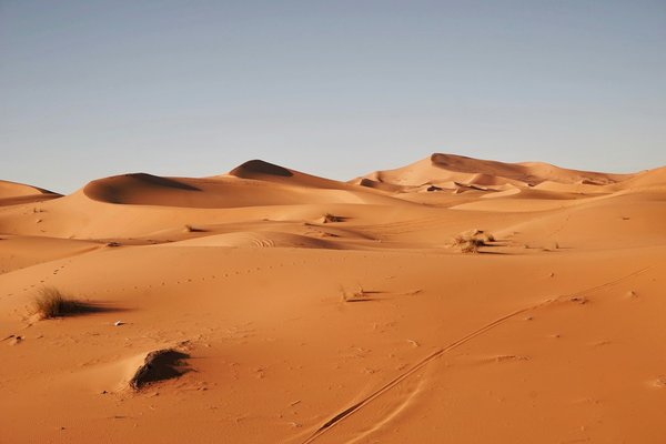 Quels sont les conseils pour une randonnée en autonomie dans le désert du Sahara?
